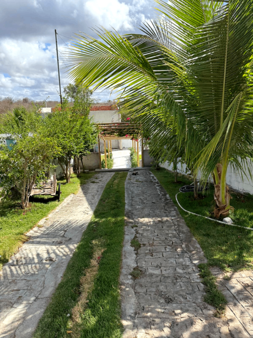 Entrada e jardim